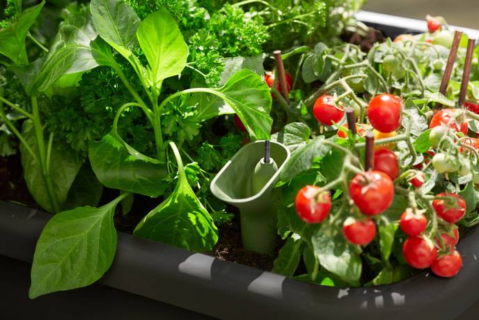 noa potager sur pied living noir